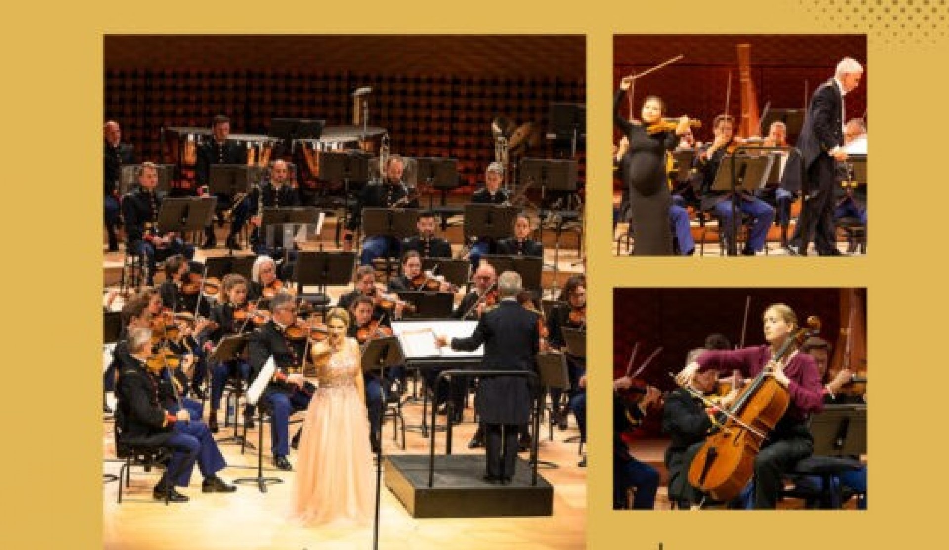 Das große Konzert